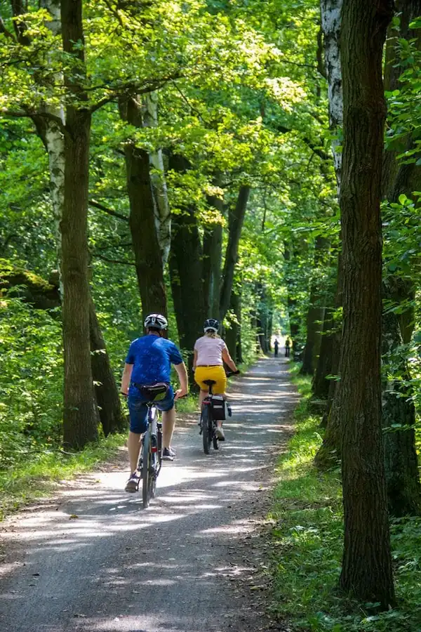 Fietsen op een camping in de Vaucluse