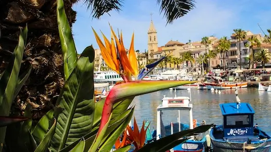 Le port de Sanary sur Mer proche du camping 5 étoiles dans le Var, le Mas de Pierredon