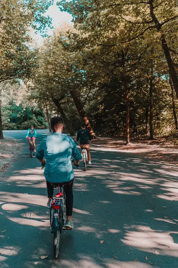 bike trip to camping Vaucluse l'Etang de La Bonde