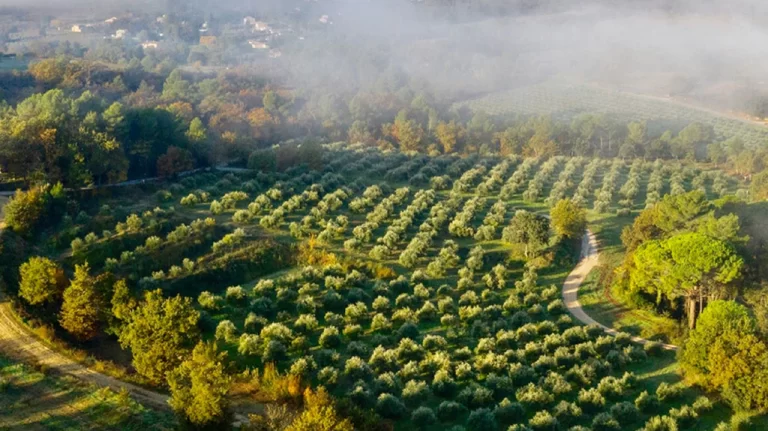 Campasun : Bastide Lavall 1024x574 Crop Center