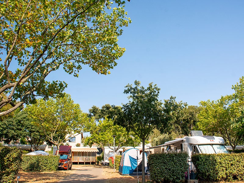 Campasun : Emplacement Camping Sanary Sur Mer Bandol