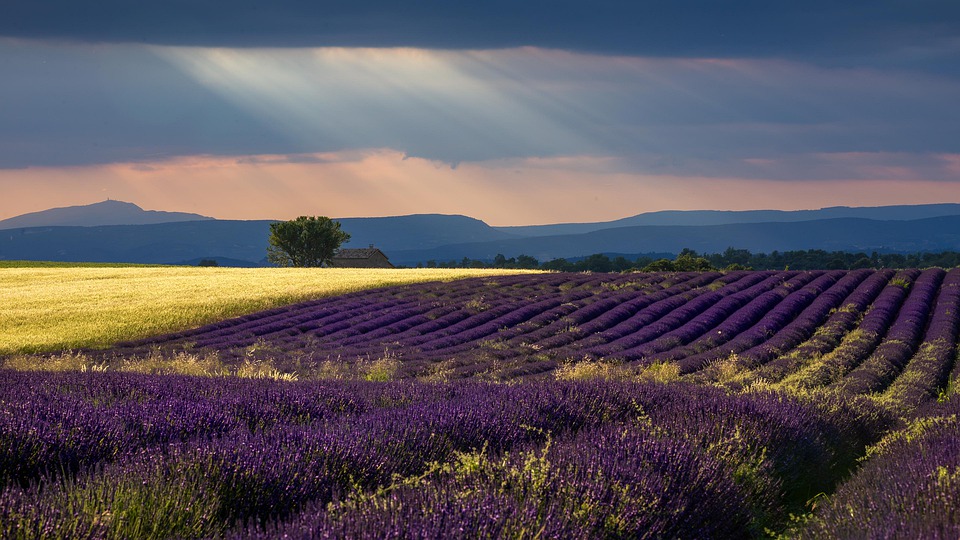 CAMPASUN - Land von Aix en Provence