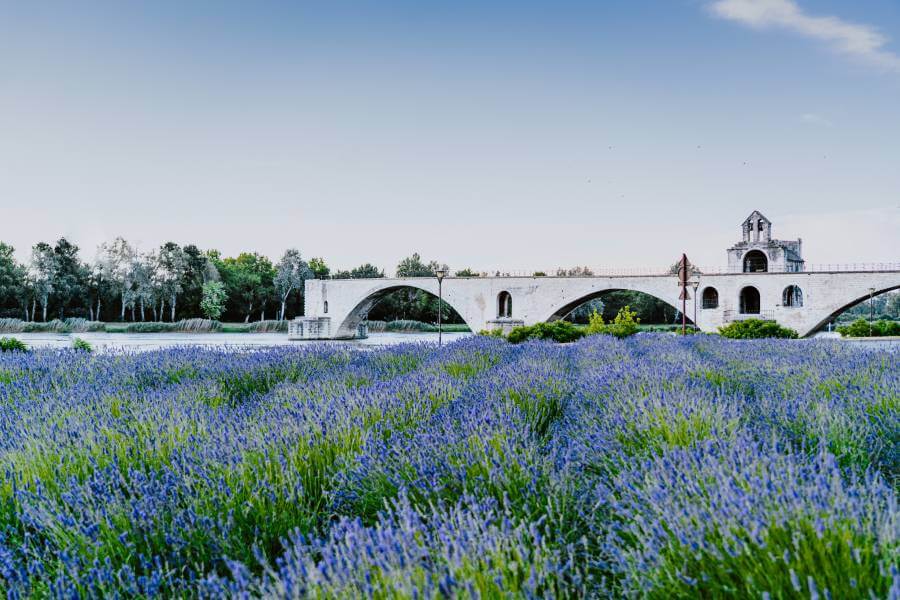Campasun : Pont Avignon