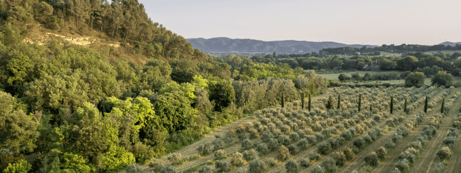 CAMPASUN - Découvrez la Bastide du Laval : une expérience authentique au cœur du Luberon