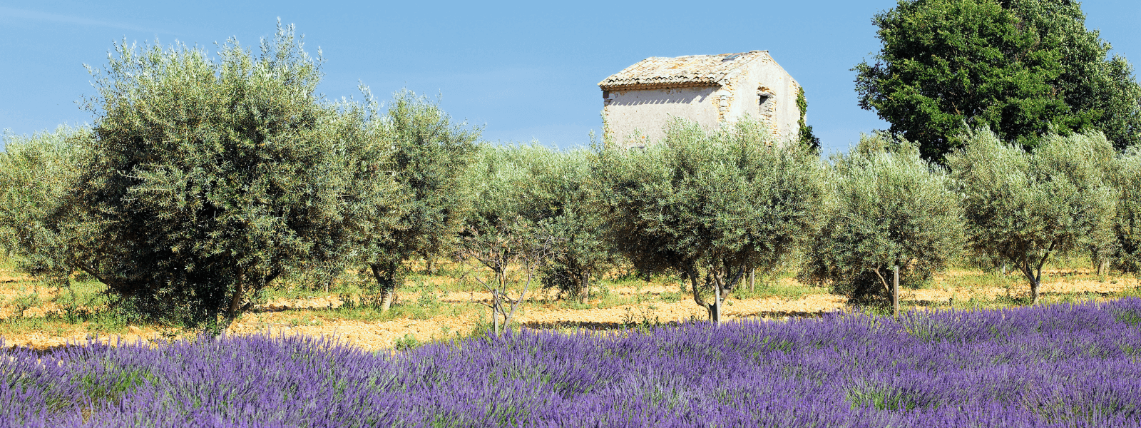 CAMPASUN - Les meilleurs campings du Vaucluse