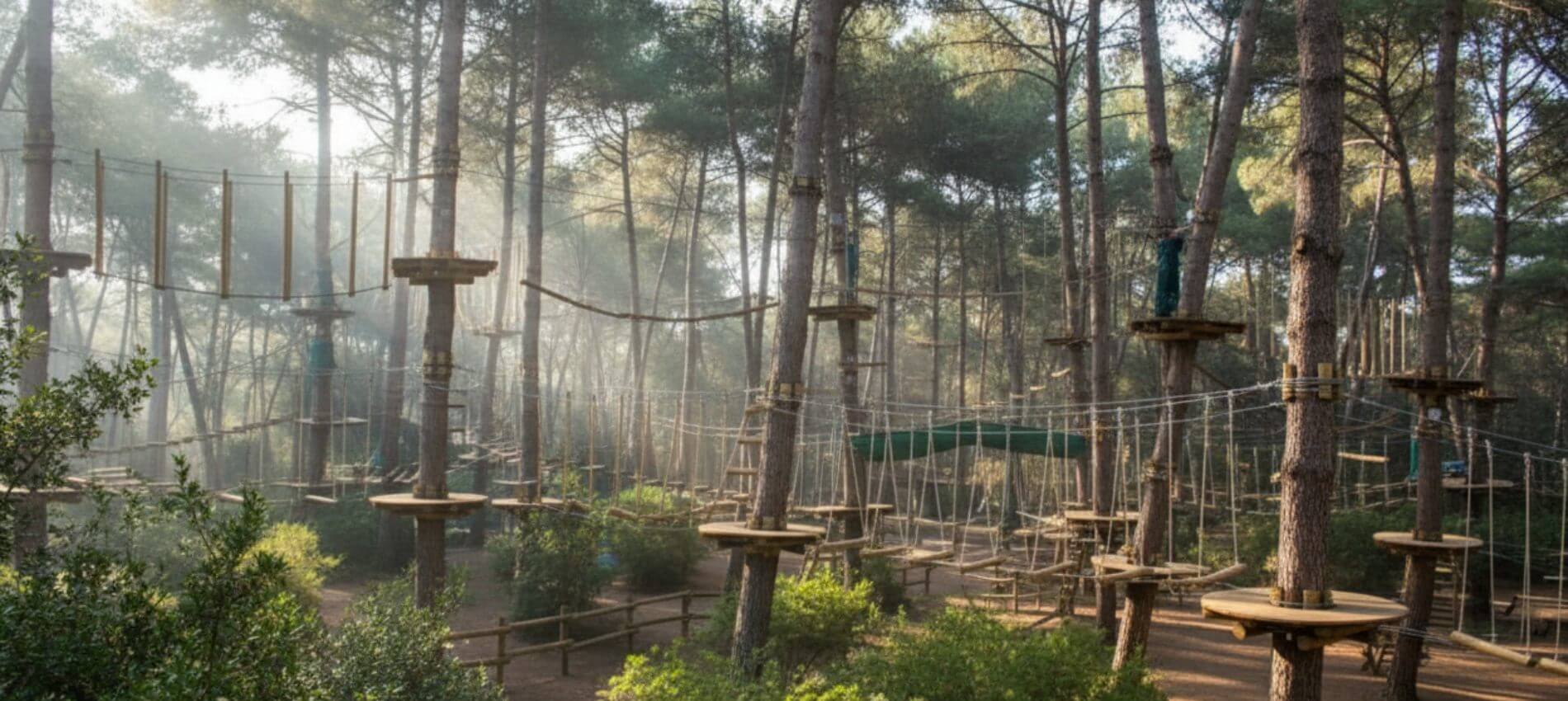 CAMPASUN - Coudou Parc à Six-Fours : l’aventure en forêt